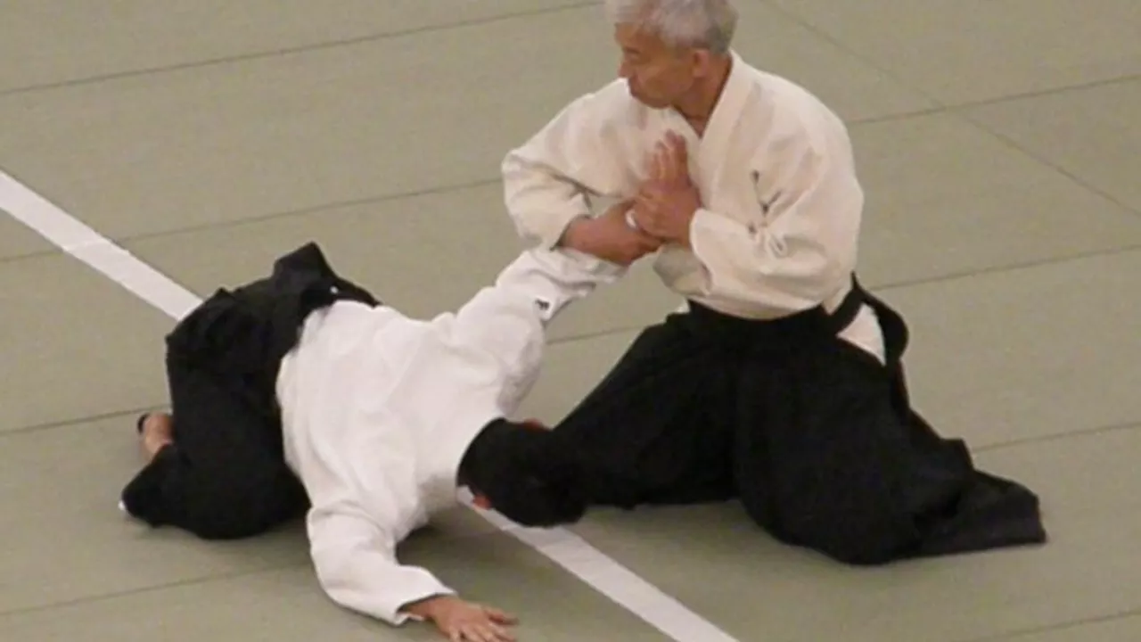 How many moves are there in Aikido?